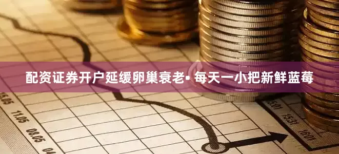 配资证券开户延缓卵巢衰老• 每天一小把新鲜蓝莓