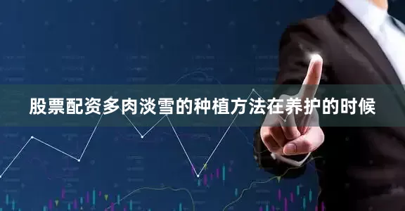 股票配资多肉淡雪的种植方法在养护的时候