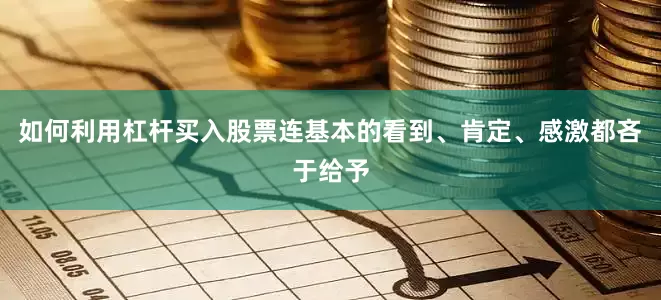 如何利用杠杆买入股票连基本的看到、肯定、感激都吝于给予
