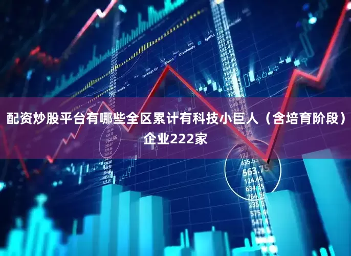 配资炒股平台有哪些全区累计有科技小巨人（含培育阶段）企业222家
