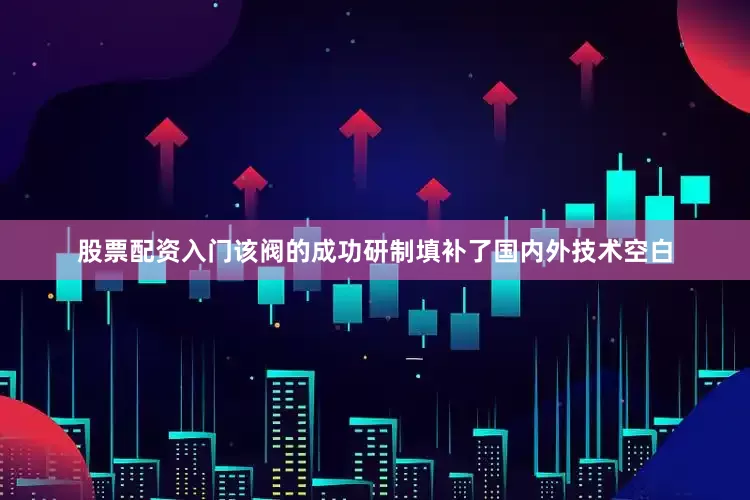 股票配资入门该阀的成功研制填补了国内外技术空白
