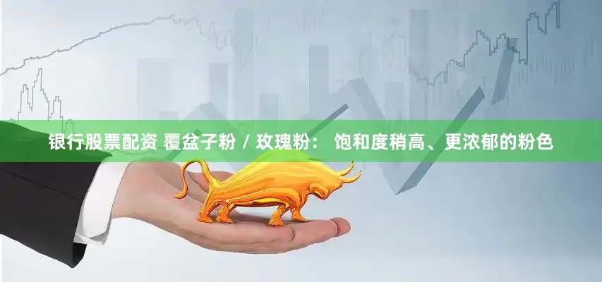 银行股票配资 覆盆子粉 / 玫瑰粉： 饱和度稍高、更浓郁的粉色